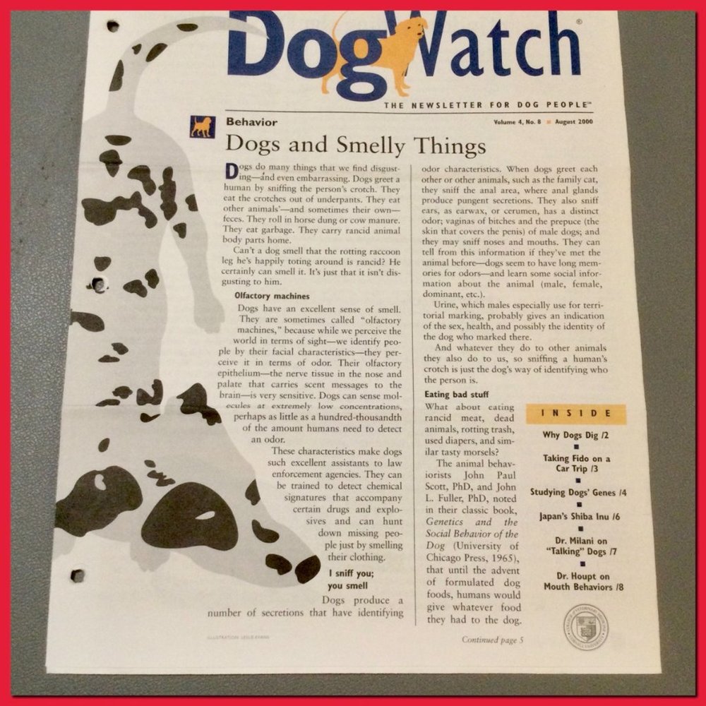 26 Dog Watch Periodicals